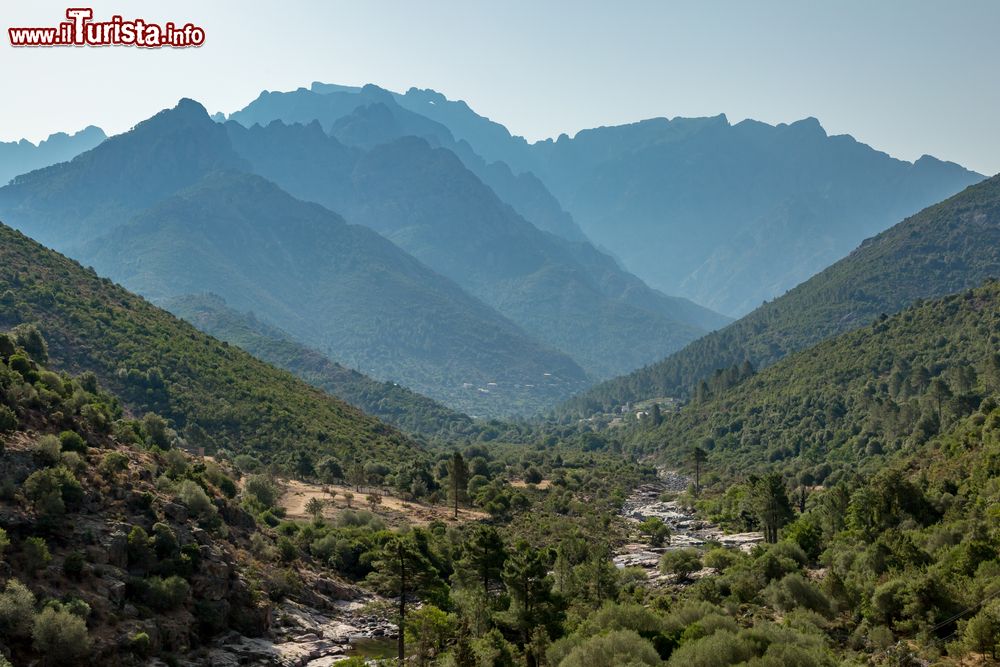Immagine La valle del fiume Fango vicino a Galeria in Corsica