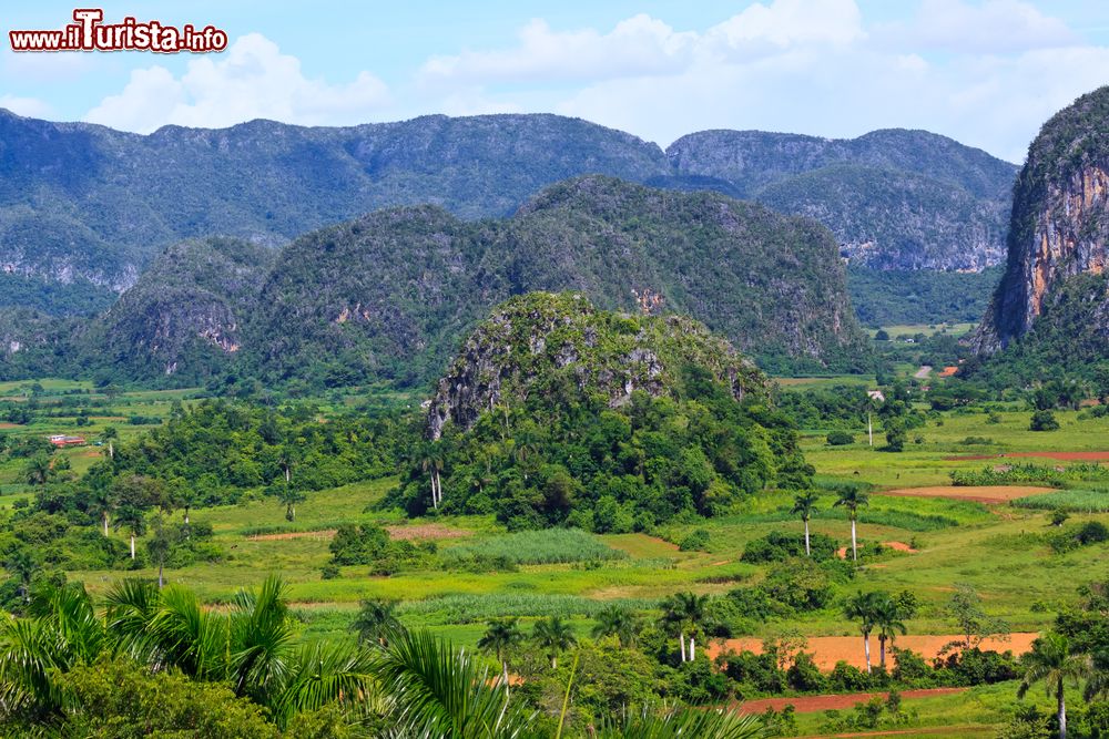 Immagine La Valle di Viñales a Cuba, dove viene coltivato il tabacco usato per produrre i famosi sigari cubani.