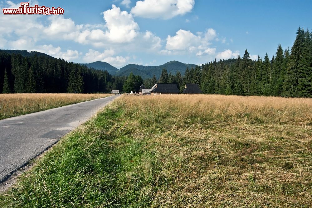 Immagine La valle Dolina Chocholowska sui monti Tatra occidentali in Polonia