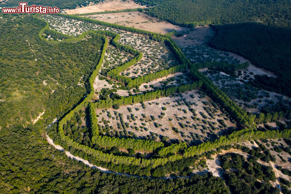 Immagine La valle Lanaitho vicino al monte Tiscali nel territorio di Oliena in Sardegna
