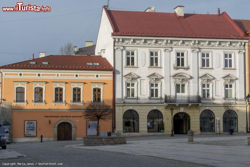 Immagine La vecchia città di Tarnow con le sue case colorata di epoca rinascimentale (Polonia) - © Maria_Janus / Shutterstock.com