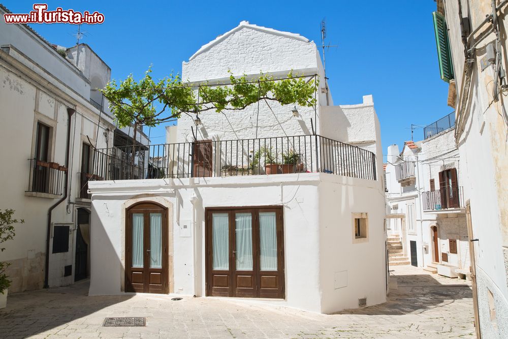 Immagine La visita al centro storico con le case bianche di Noci in Puglia