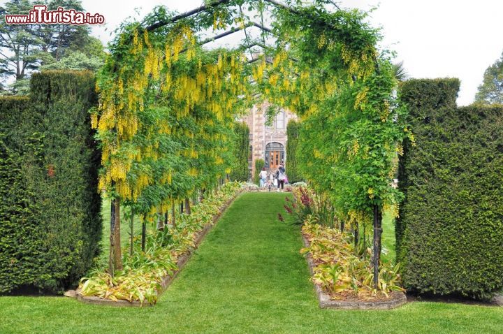 Immagine Galleria floreale al castello di Larnach, Dunedin, Nuova Zelanda - © HunnyCloverz / Shutterstock.com