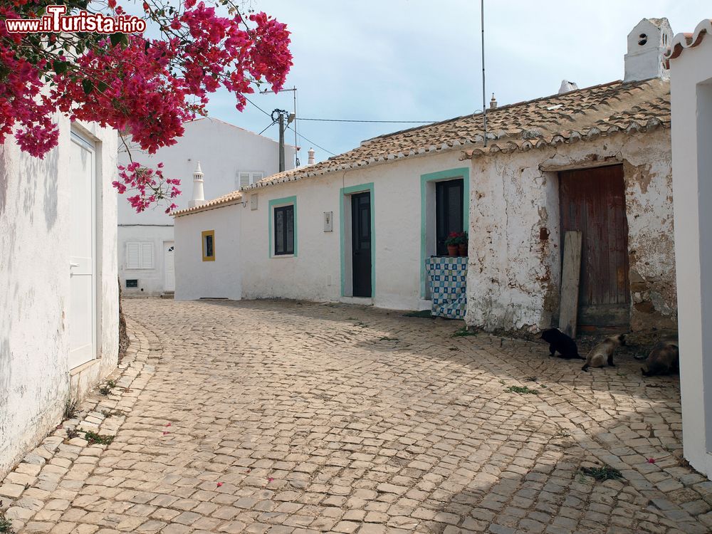 Le foto di cosa vedere e visitare a Vila do Bispo