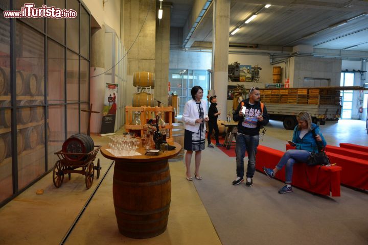 Immagine La visita alla distilleria Roner a Termeno sulla Strada del Vino