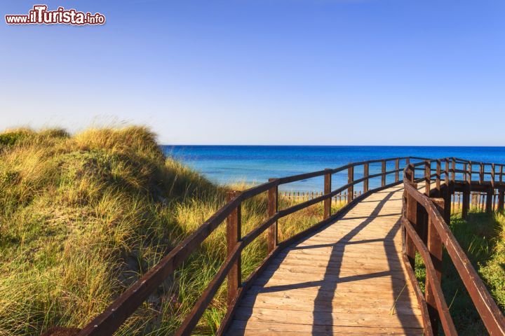 Immagine La visita alle dune di sabbia, il parco naturale delle dune costiere di Torre Canne di Fasano