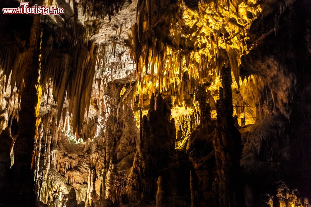 Le foto di cosa vedere e visitare a Castellana Grotte