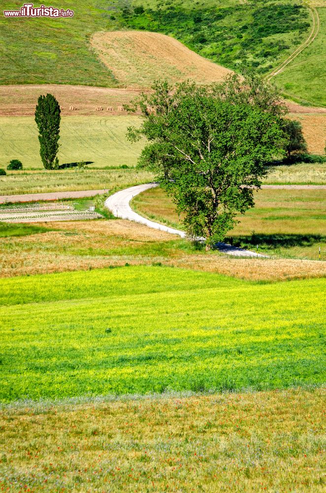Immagine La vsita al Parco Regionale di Colfiorito nel comune di Foligno (Umbria)