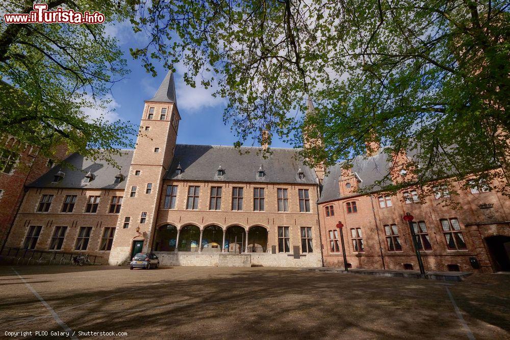 Immagine L'abbazia di Middelburg, Olanda, un tempo centro di un grande complesso monastico - © PLOO Galary / Shutterstock.com
