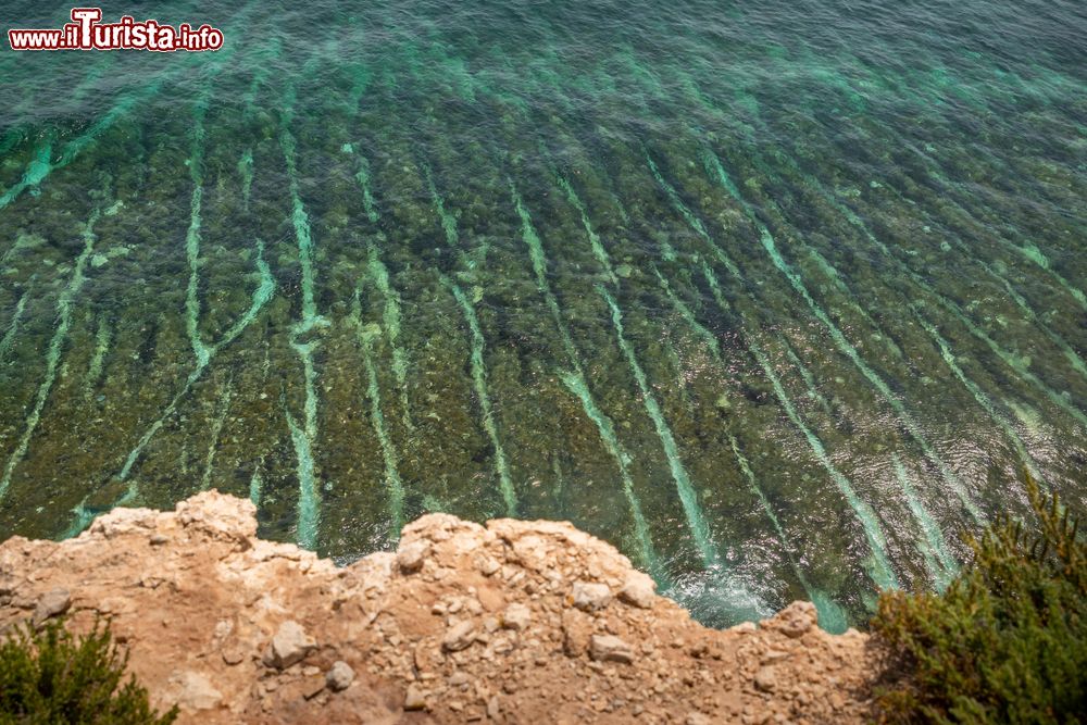 Immagine L'acqua cristallina del Mediterraneo lambisce le scogliere di Marsascala, isola di Malta.