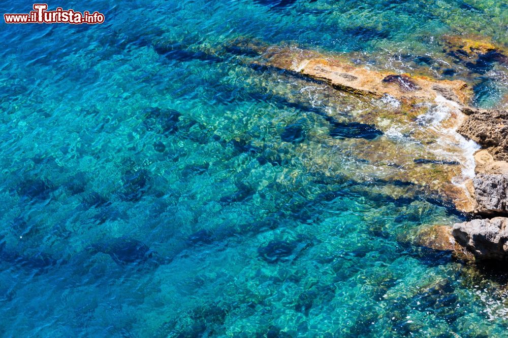 Immagine L'acqua cristallina del Tirreno lungo la costa di Sapri, provincia di Salerno (Campania).