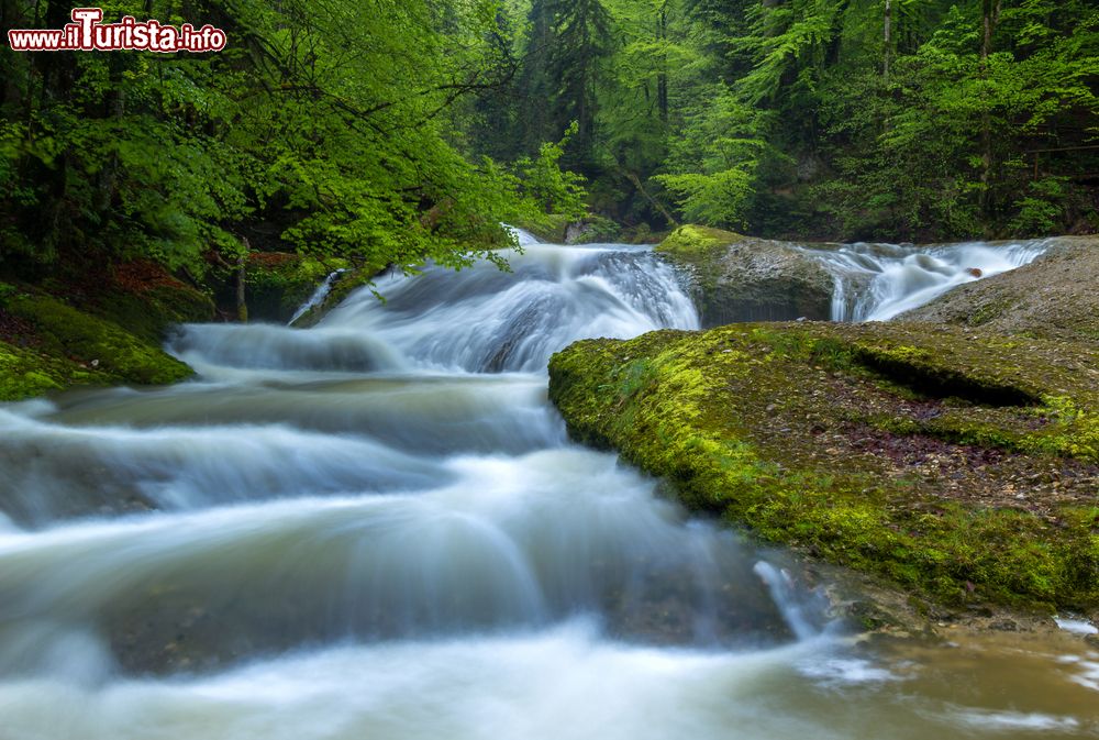 Immagine L'acqua di un torrente nei pressi di Isny im Allgau, Germania.