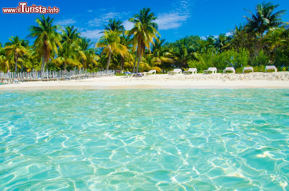 Immagine L'acqua trasparente del Mar dei Caraibi all'Isla Mujeres, Messico.