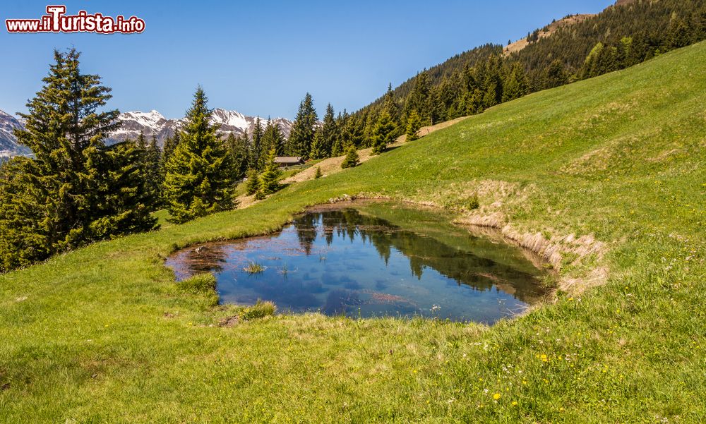 Immagine Laghetto di montagna nei pressi di Ridanna in Trentino Alto Adige