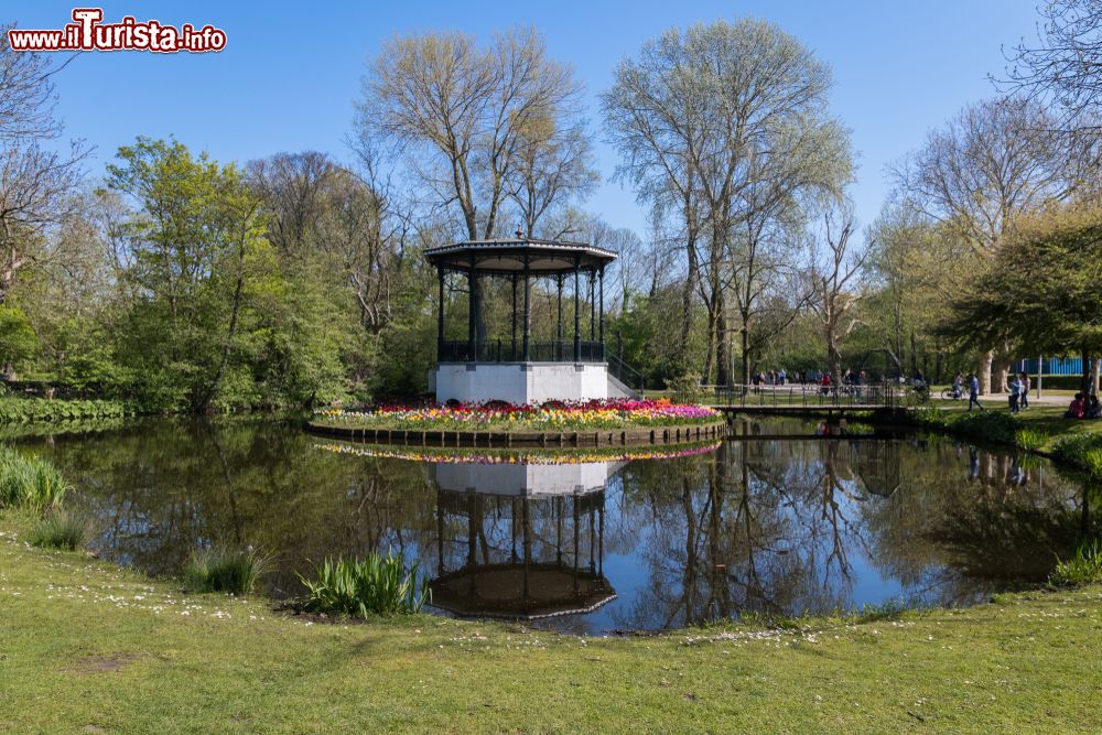 Immagine Laghetto in un parco di Haarlem, Olanda, con tulipani colorati sullo sfondo.