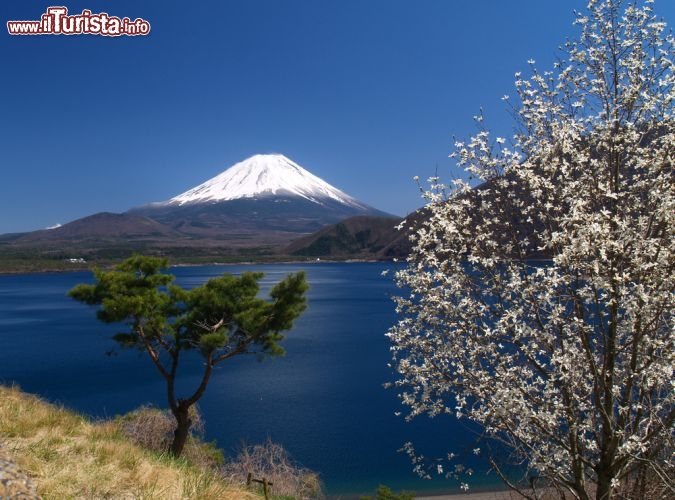 Immagine A nord del monte Fuji troviamo il Lago Kawaguchi-ko, uno dei cinque laghi della prefettura di Yamanashi in Giappone - © kuma / Shutterstock.com