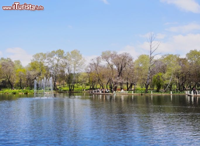 Immagine Lago ad Ifrane la citta piu fredda del Marocco in estate viene visitata da escursionisti ed amanti delle passeggiate in montagna - © Karol Kozlowski / Shutterstock.com