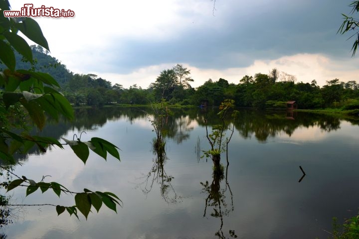 Immagine Laghetto, Malesia: siamo a pochi passi dalla famosa grotta di Gua Tempurung e nei pressi di questo lago è possibile incontrare anche grossi rettili come il varano.