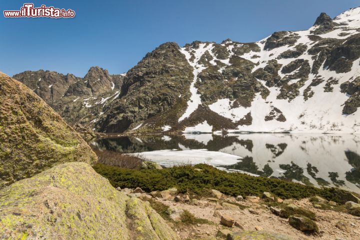 Immagine La neve imbianca la Valle della Restonica anche al fiorire della primavera: dettaglio del Lago di Melo - Il Lago glaciale di Melo, situato a circa dieci chilometri da Corte, si trova nel cuore della Valle Restonica, un vero e proprio paradiso per chi ama il lato montano della Corsica. Qui, tra boschi di conifere e paesaggi mozzafiato, si possono effettuare fantastiche escursioni, in particolare seguendo il percorso che, in meno di un'ora a piedi, conduce all'altro famoso lago della valle: il Lago di Capitello. - © Jon Ingall / Shutterstock.com