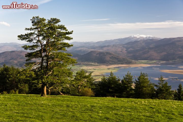 Immagine Lago Circonio fotografato da Slivnica, Slovenia - Panorama sul lago che, a seconda della stagione, c'è o non c'è: il suo volume dipende infatti dalle precipitazioni che gli possono consentire di raggiungere una profondità di dieci metri oppure di essere completamente secco © Xseon / Shutterstock.com