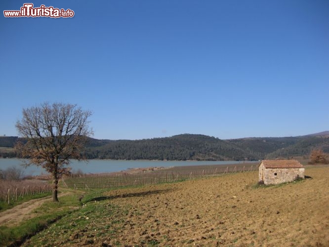 Immagine il Lago di corbara si trova in provincia di Terni, nei pressi di Orvieto in Umbria
