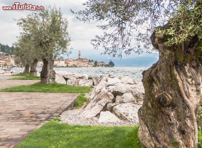 Immagine Passeggiata lungo Lago a Salò, Lombardia. Una belle imamgine del Garda che domina il paesaggio della città di Salò - © Photomario / Shutterstock.com