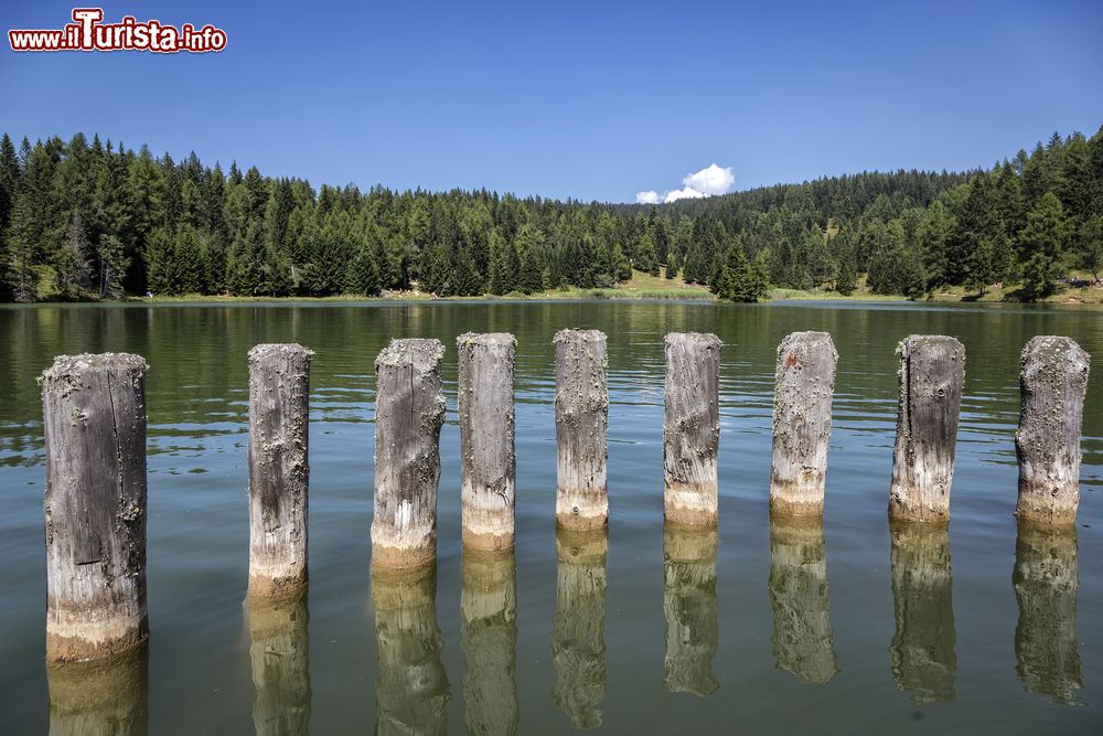 Immagine Il lago di Tret immerso fra la natura della Val di Non, Trentino. Circondato da un fitto bosco, questo specchio d'acqua, dotato di attracco, si trova a 1600 metri di altitudine.