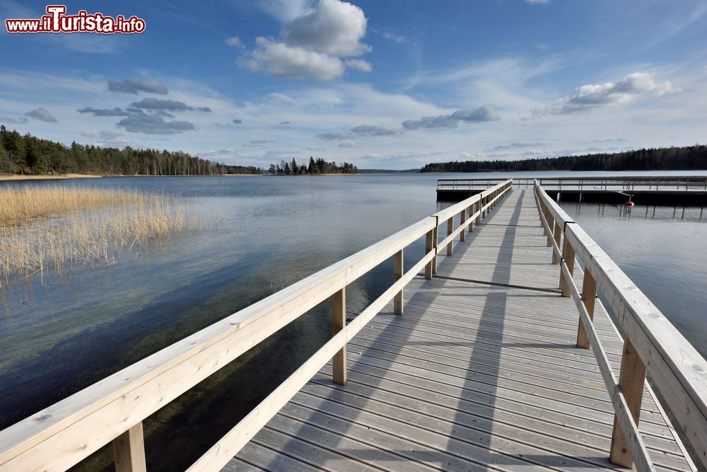 Immagine Lago Plateliai nel Zemaitija National Park, Samogitia, Plateliai. il nono lago per dimensioni della Lituania