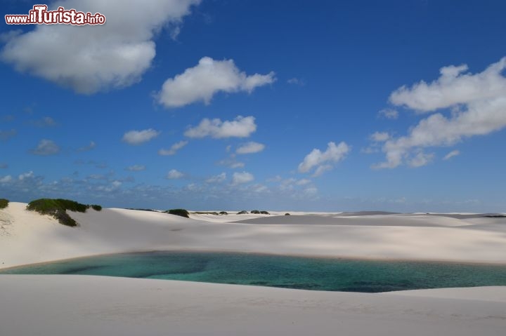 Immagine Uno delle migliaia di laghetti che si creano ogni anno con la stagione delle piogge presso i Lençois Maranhenses, nei dintorni di Barreirinhas.