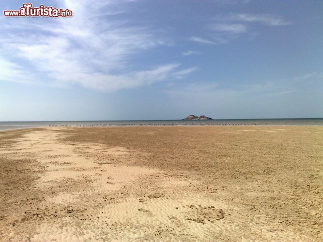 Immagine Laguna di Dakhla, fenicotteri rosa: non è raro avvistare in lontananza colonie di fenicotteri rosa e altri trampolieri nelle acque basse della laguna di Dakhla, in prossimità dell'Ile du Dragon.