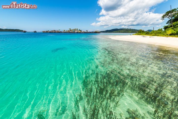 Immagine Le acque cristalline della laguna presso le isole Togean, Sulawesi Centrale, situate nel cuore della baia di Teluk Tomini - foto © Fabio Lamanna/ Shutterstock.com