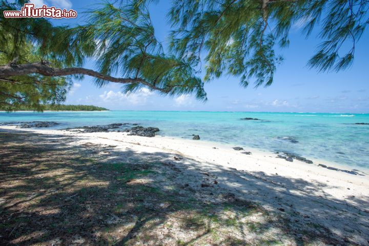 Immagine Laguna turchese dell'isola dei Cervi, Mauritius - Situata all'interno della stessa barriera corallina che racchiude tutta l'isola mauriziana, Ile aux Cerfs è uno dei luoghi più attraenti di villeggiatura di tutto il paese © iladm / Shutterstock.com