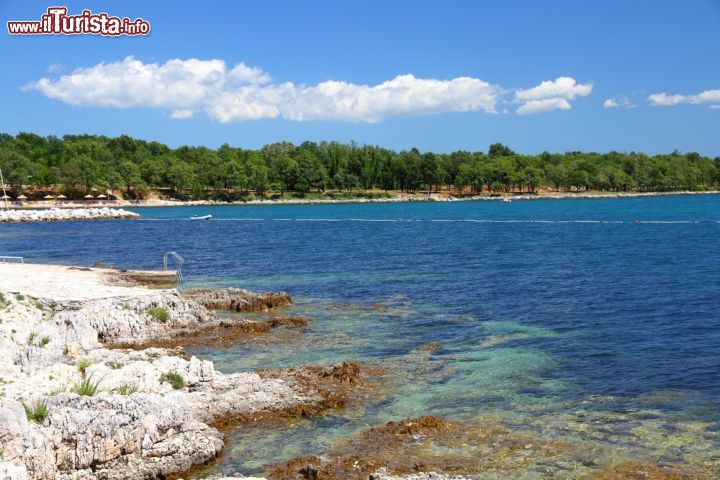 Immagine Laguna Zelena nei pressi di Porec, Croazia. Situata circa 5 chilometri a sud di Porec, questa bella laguna è una delle più suggestive fra quelle che si affacciano sul Mar Adriatico - © Tupungato / Shutterstock.com
