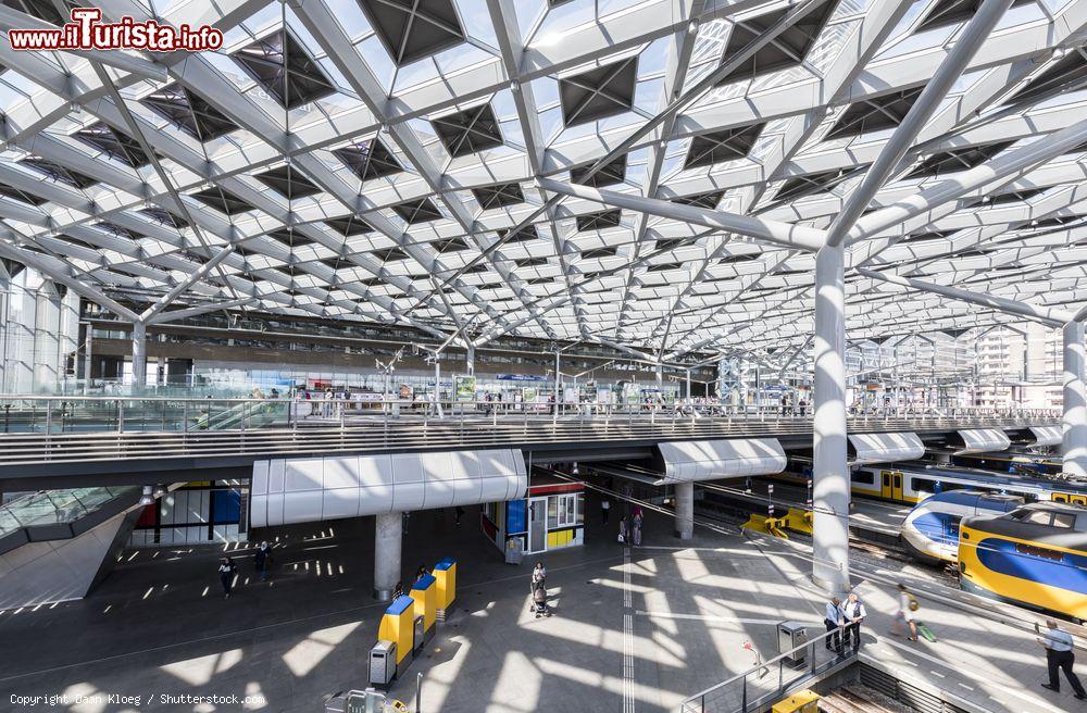 Immagine L'Aia (Olanda): la stazione ferroviaria con treni, piattaforme e vetrate - © Daan Kloeg / Shutterstock.com