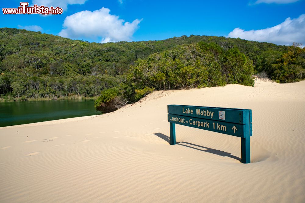 Immagine Lake Wabby, uno dei laghi che si trovano su Fraser Island, parte del Great Sandy National Park in Queensland (Australia).