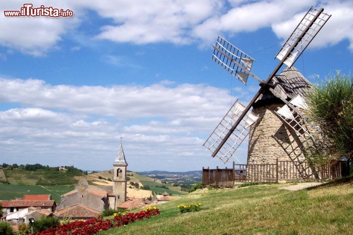 Immagine Lautrec  e il suo aglio rosa. Vi consigliamo la visita in bicicletta fino al suo mulino.