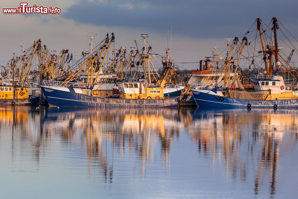 Immagine Lauwersoog ospita la più grande flotta di pescherecci in Olanda; siamo sul Waddensea