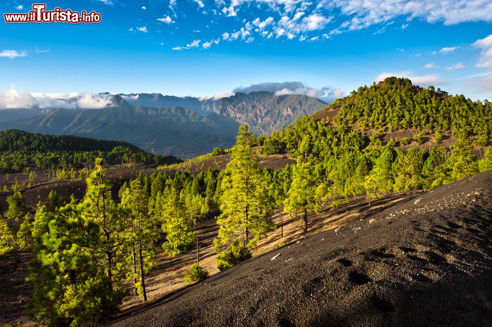 Immagine La lava ricopre la vallata presso Cumbre Nueva sull'isola di La Palma (Canarie, Spagna).
