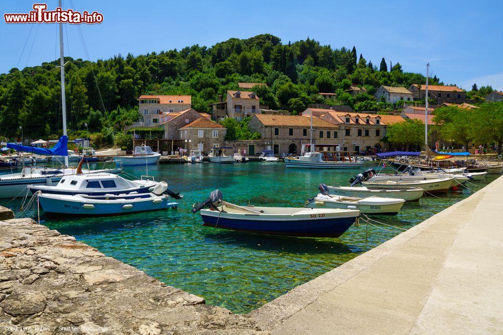 Immagine Le acque cristalline del porto di San GIorgio a Sipan in Dalmazia. Conosciuta anche con i nomi di Sipano e Giuppana l'isola di Sipan è una splendida meta per vacanze di mare in Croazia. - © RnDmS / Shutterstock.com