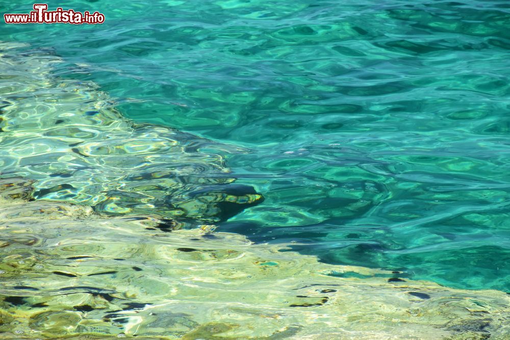 Immagine Le acque cristalline di Punta Prosciutto in provincia di Lecce (Salento)