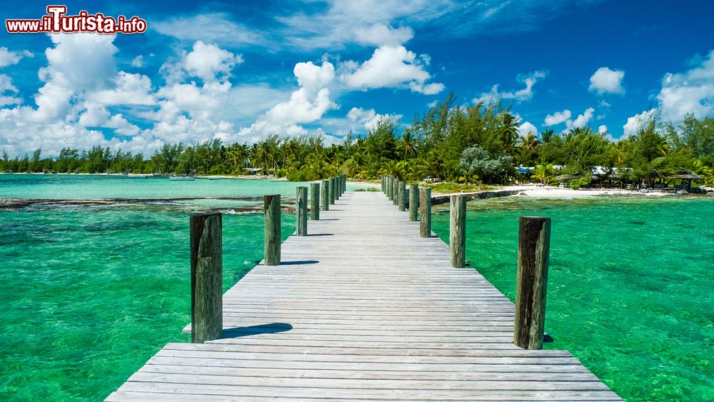 Immagine Le acque smeralde dell'isola di Andros, Arcipelago delle Bahamas.