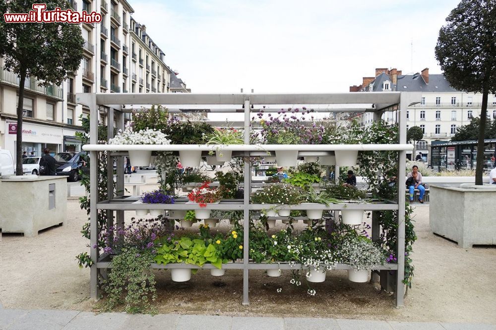 Immagine Le aiuole verticali di Place de La Republique a Rennes, Bretagna (Francia).