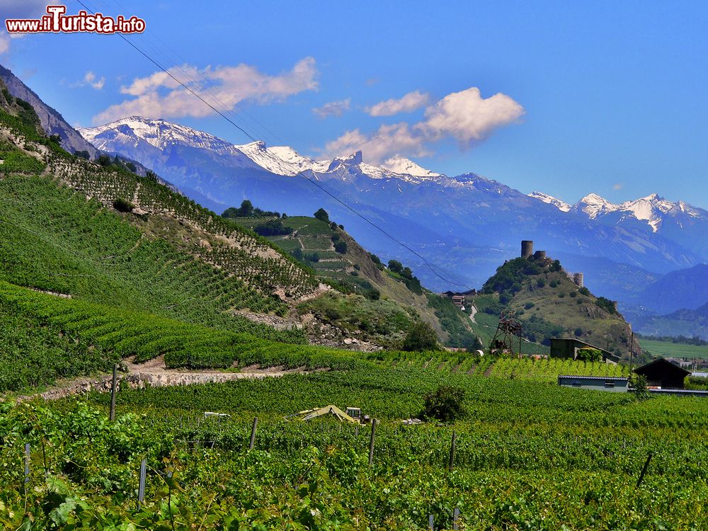 Immagine Le Alpi svizzere del Vallese con il Castello di Saillon che domina la valle del Rodano