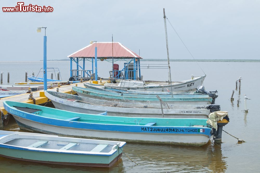 Immagine Le barche a motore colorate dei pescatori nell'acqua calma della Chetumal Bay, Messico.