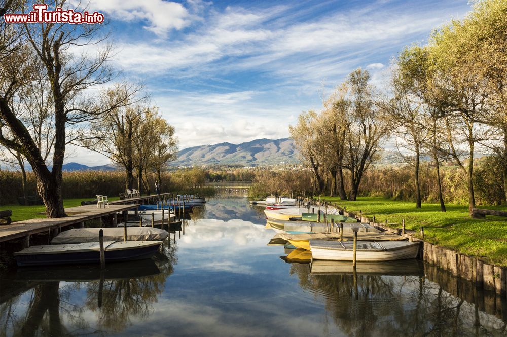 Immagine Le barche nel piccolo porto di Azzate, lago di Varese (Lomabrdia)