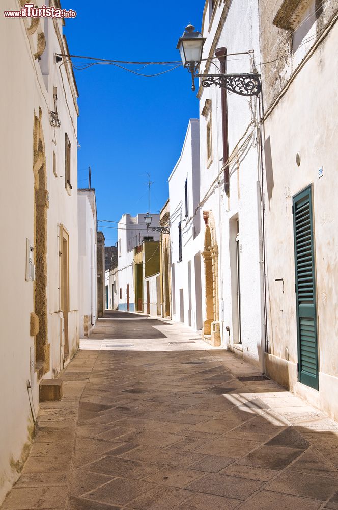 Immagine Le bianche case del centro storico di Palmariggi nel Salento, provincia di Lecce