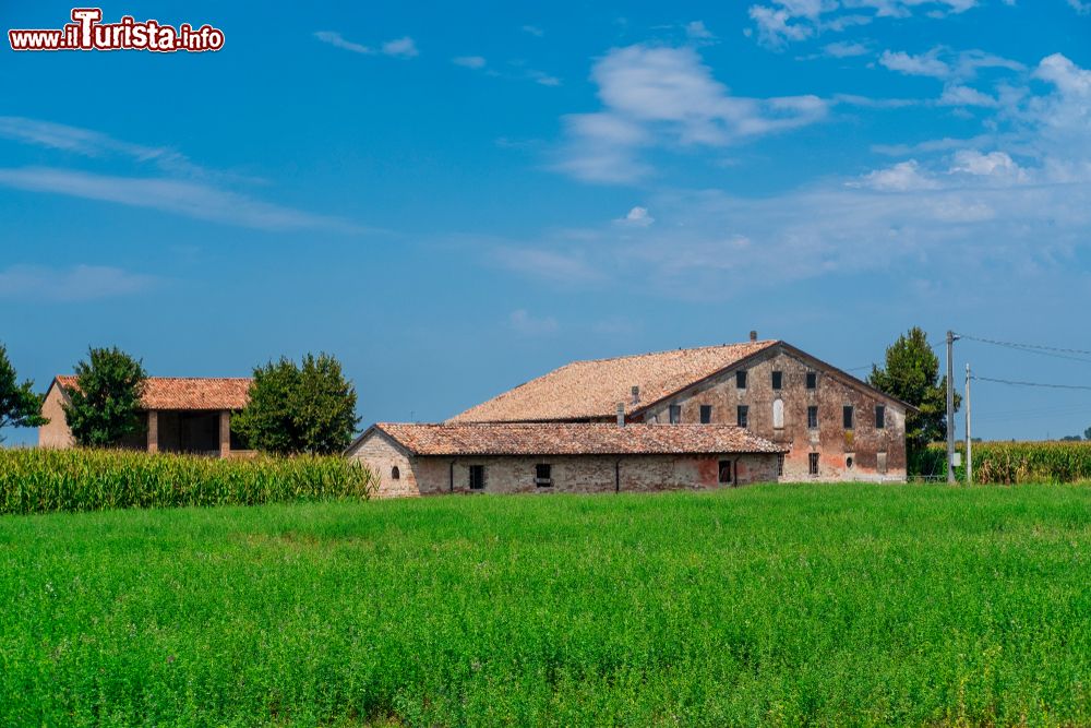 Immagine Le campagne che circondano la cittadina di Cortemaggiore in Pianura Padana, Emilia-Romagna