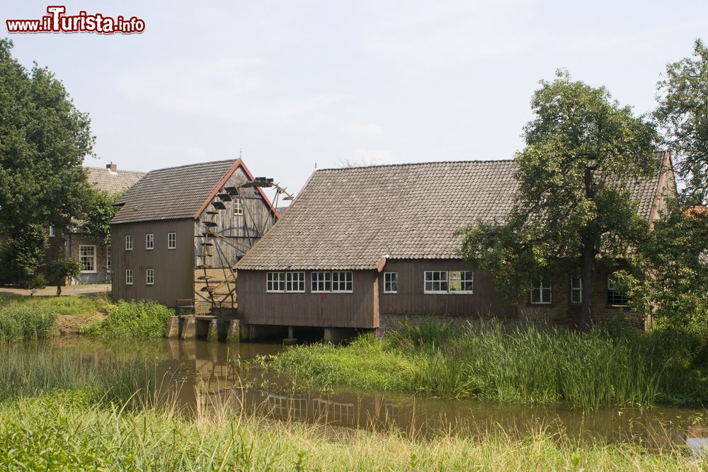 Immagine Le campagne dei luoghi di Vincent Van Gogh a Nuenen in Olanda