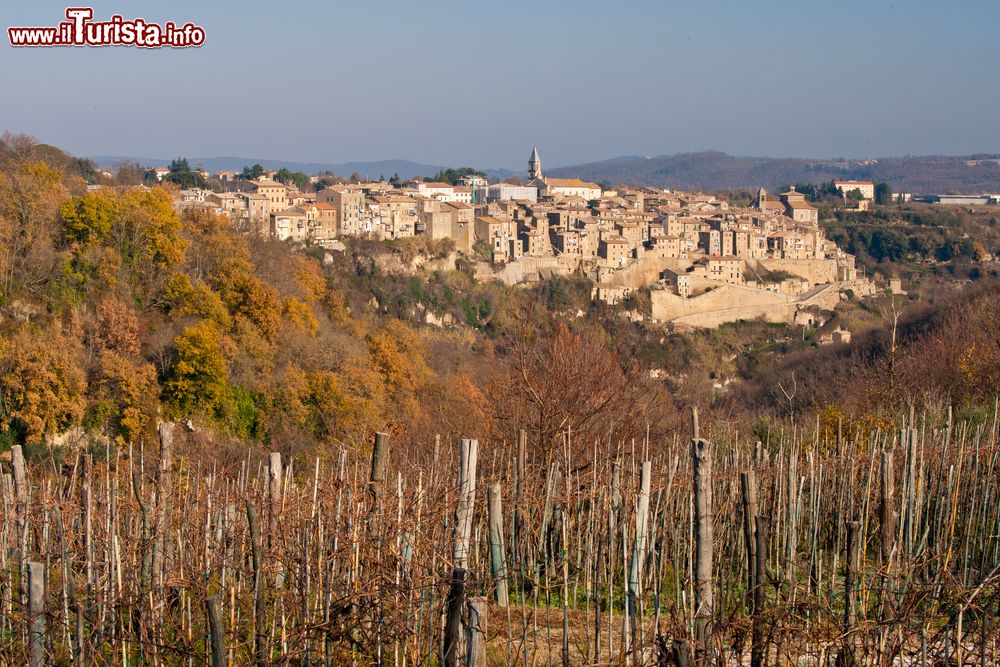 Immagine Le campagne del borgo di Grotte di Castro, nel Lazio