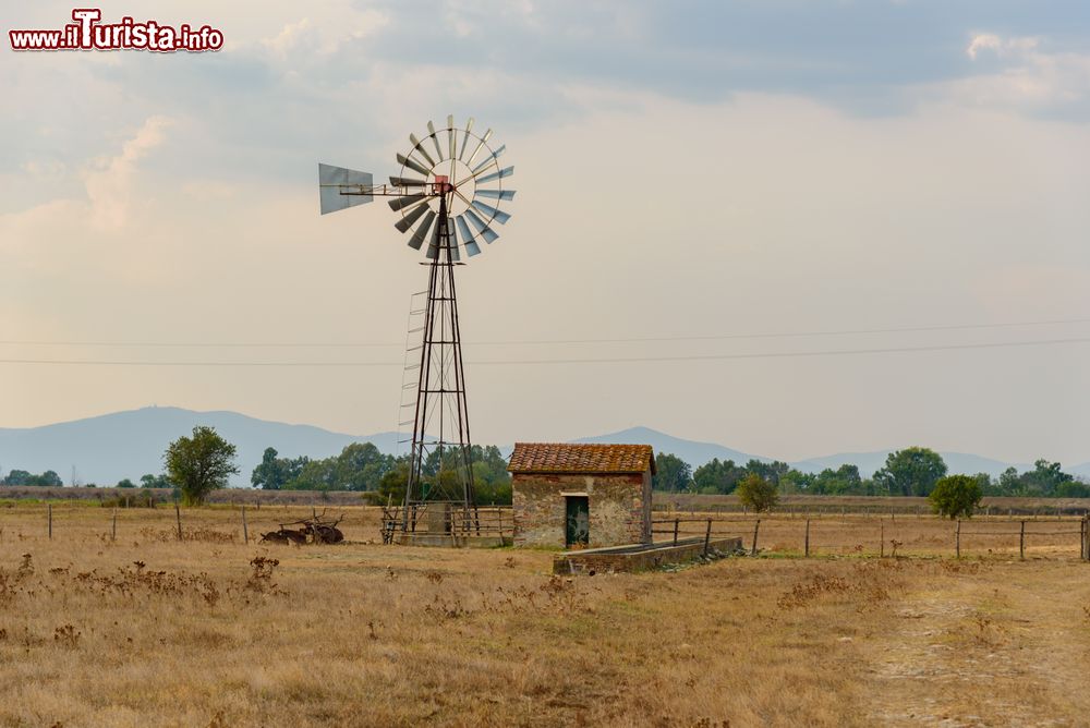 Immagine Le campagne della Maremma intorno ad Albinia in Toscana, provincia di Grosseto